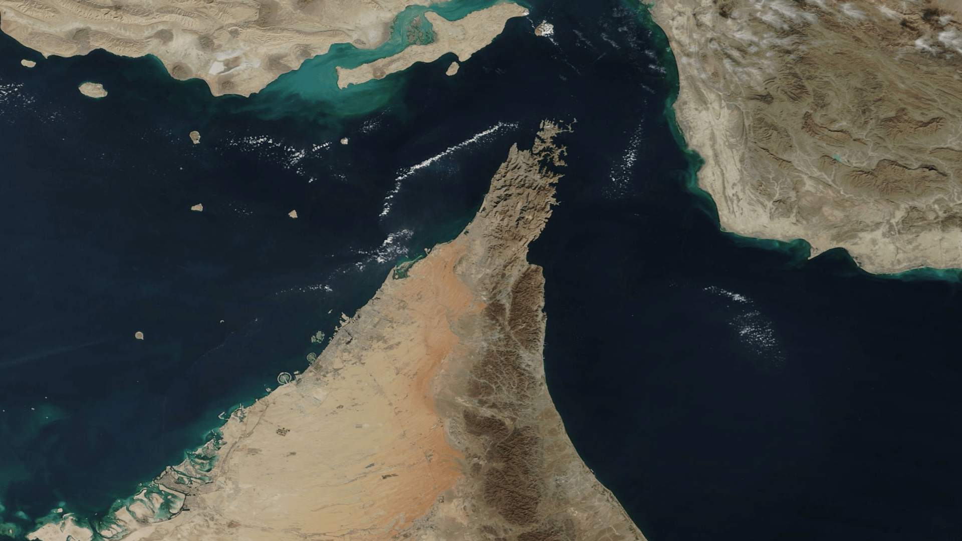 Design ohne Titel (1)